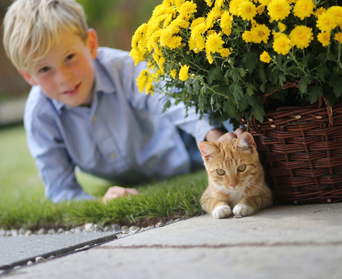 Bub und Katze liegen im Gars neben Blumenstock | © Privat zu Gast in Niederösterreich / weinfranz.at