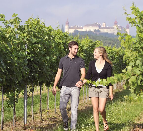 Paar spaziert Hand in Hand durch Weingarten | © Niederösterreich Werbung / Robert Herbst