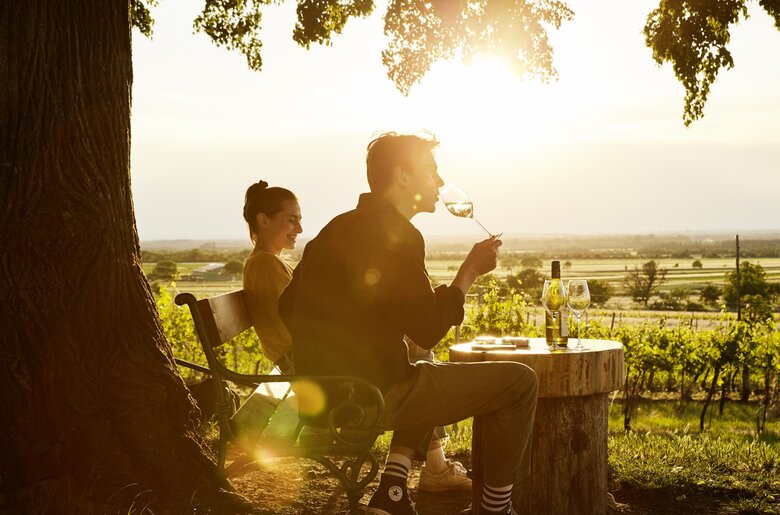 Paar trinkt Wein - in die Grean gehen | © Weinviertel Tourismus - Michael Liebert
