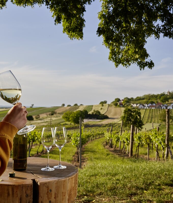 In de Grean gehen | © Weinviertel Tourismus - Michael Liebert
