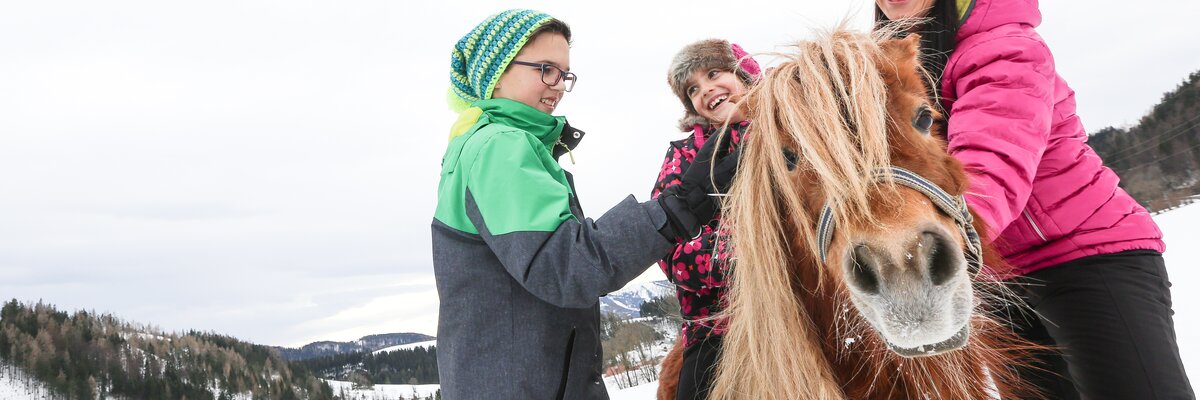 Kinder streicheln Pony | © Niederösterreich Werbung / schwarz-koenig.at