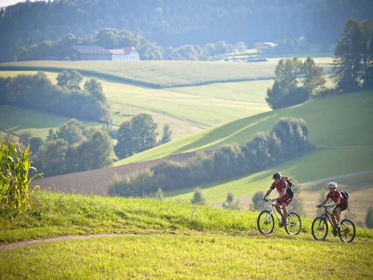 Paar fährt mit dem Rad durch die hügelige Landschaft des Mühlviertels | © Oberösterreich Tourismus GmbH / Hermann Erber
