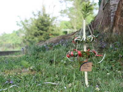 Mini-Maibaum | © Urlaub am Bauernhof Oberösterreich / Landjugend OÖ Miniatur-Maibaum vor einem Baum | © Urlaub am Bauernhof Oberösterreich / Landjugend OÖ