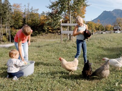 Kinder mit Hühner auf der Weide | © Urlaub am Bauernhof Österreich / Daniel Gollner