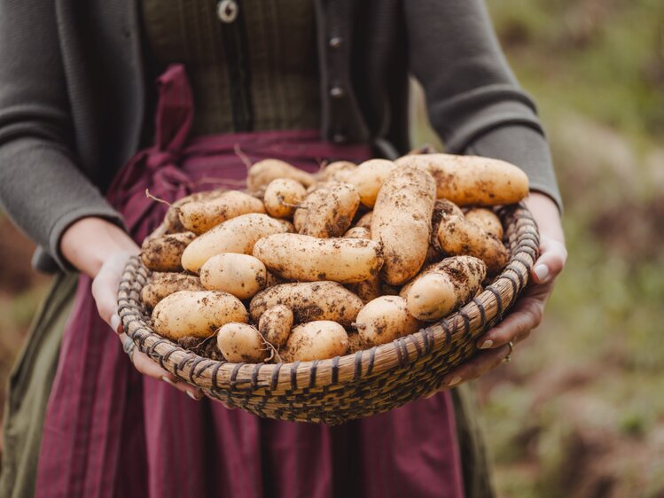 Erdäpfel vom Feld | © Footprints Fotografie // cookingCatrin