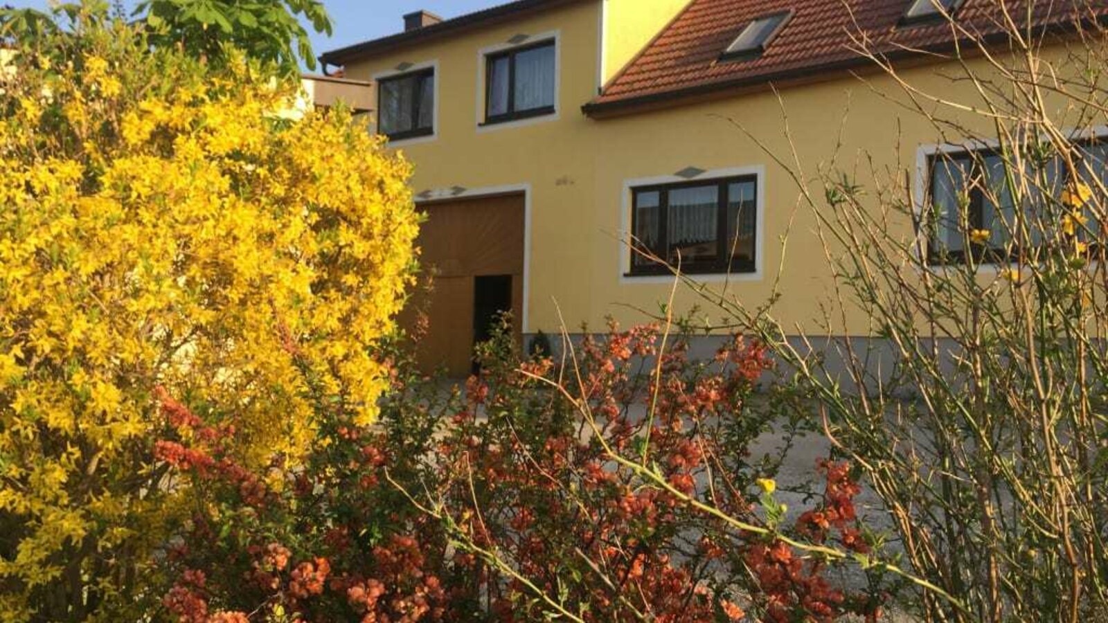 Amstetters-Ferienwohnung - Frühling