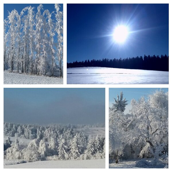 Die Winterlandschaft rund um den Bauernhof mit schneebedeckten Bäumen und Feldern unter blauem Himmel.