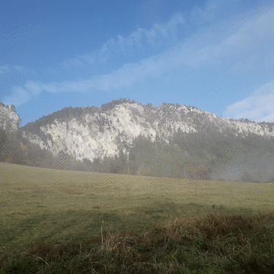 Apartment Laaber - Wiese mit leichtem Nebel