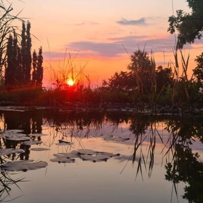 Teich mit Sonnenunterngang