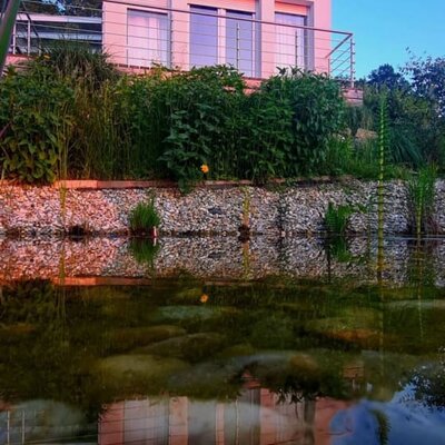 Chalet und Teich