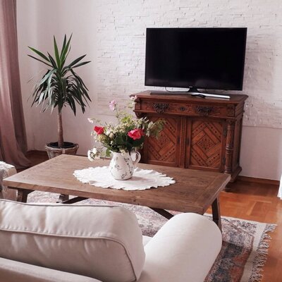 Wohnbereich in der Unterkunft mit Fernseher, Holztisch, Sofa und einer Pflanze.