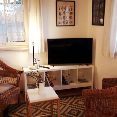 Wohnbereich des Ferienhauses mit zwei Korbsesseln, Fernseher und Fenstern.