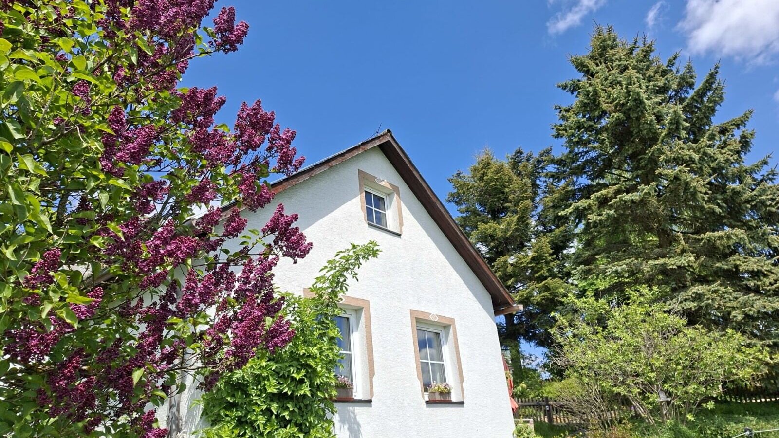 Außenansicht des Ferienhauses mit einem großen Fliederbusch und grünen Bäumen unter blauem Himmel.