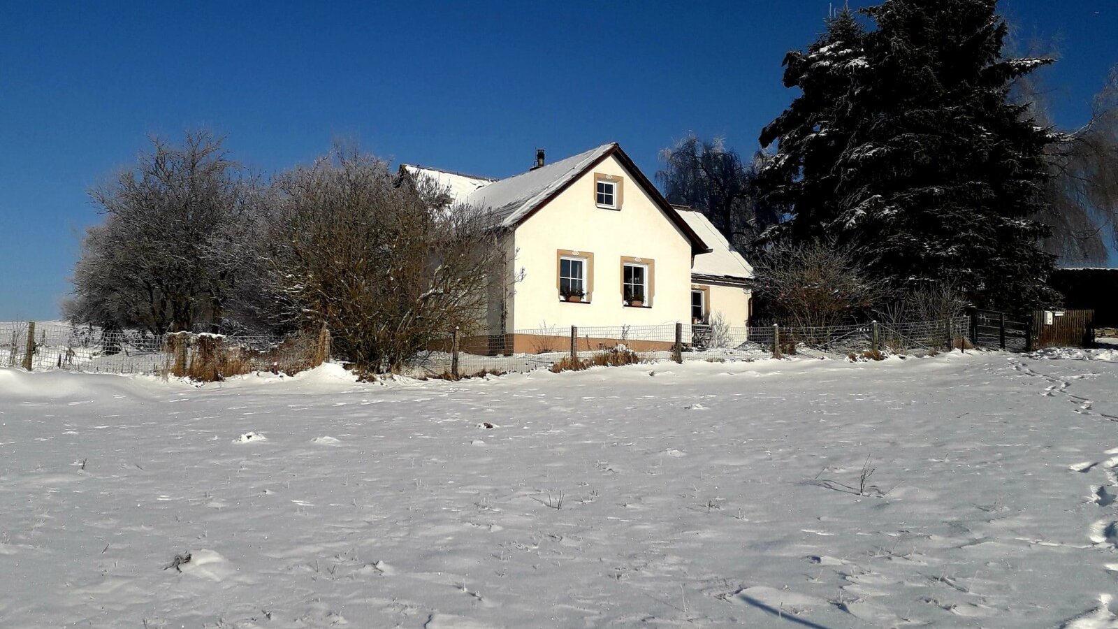 Das Ferienhaus im Winter, umgeben von Schnee und Bäumen unter blauem Himmel.