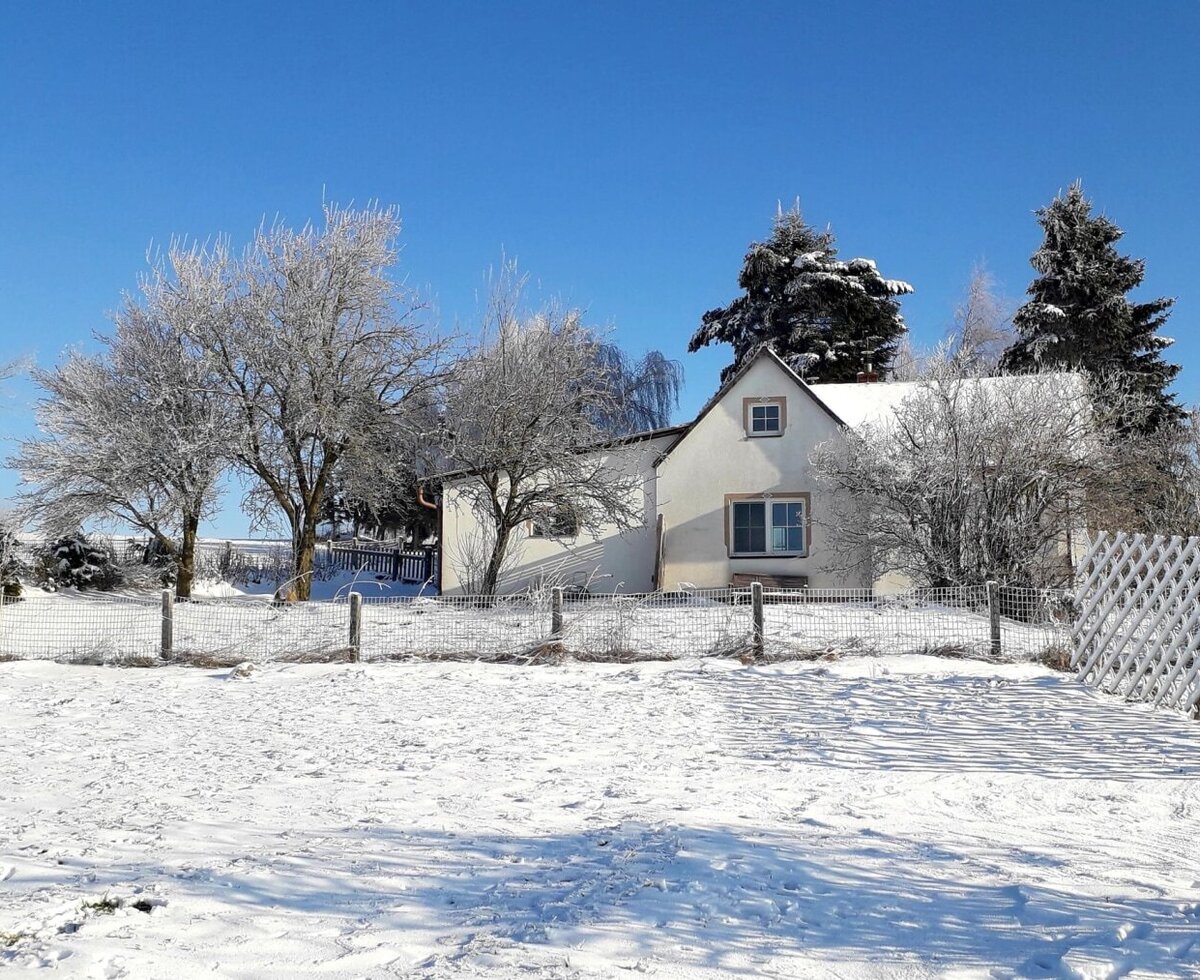 Das Ferienhaus in einer Winterlandschaft mit schneebedeckten Bäumen und blauem Himmel.