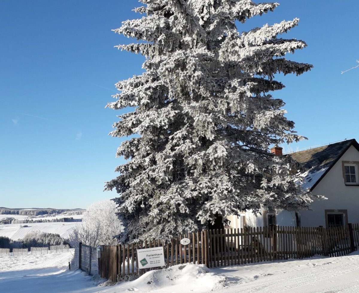 Das Ferienhaus in einer verschneiten Winterlandschaft, mit einem großen, schneebedeckten Nadelbaum und einem Holzzaun.