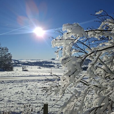 Aussicht aus dem Küchenfenster des Ferienhauses - Blick auf die verschneite Winterlandschaft mit schneebedeckten Ästen und strahlendem Sonnenschein vom Bed and Breakfast.
