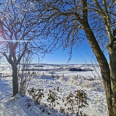 Winterliche Aussicht vom Bed and Breakfast mit verschneiten Feldern, Bäumen und einem Außensitzbereich unter blauem Himmel.