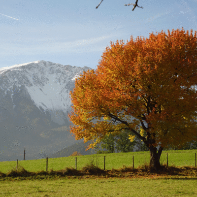 Ferienwohnung  Schneebergblick - Herbst
