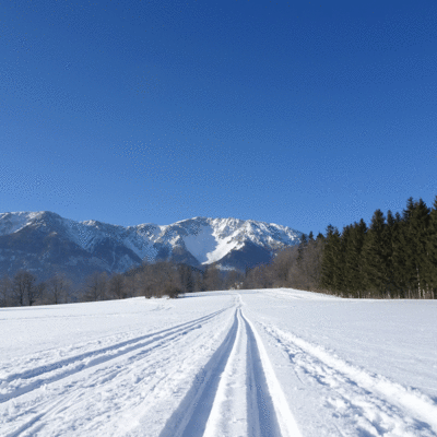 Ferienwohnung  Schneebergblick - Loipe