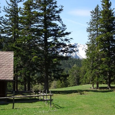 Das Gelände des Bauernhofs mit einer Hütte, Wiesen, Wald und schneebedeckten Bergen im Hintergrund.