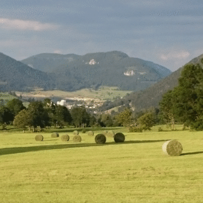 Ferienwohnung  Schneebergblick - Heuballen