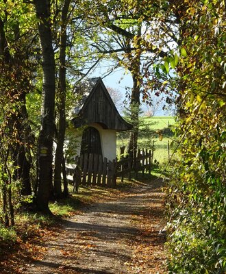 Ein Waldweg mit einer kleinen Kapelle und einem Zaun, der zu einer Wiese in der Umgebung des Bauernhofs führt.