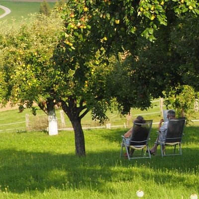 ein schattiges Plätzchen in unserem Garten