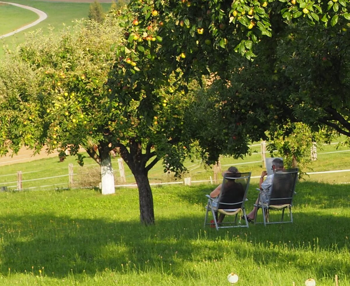 ein schattiges Plätzchen in unserem Garten