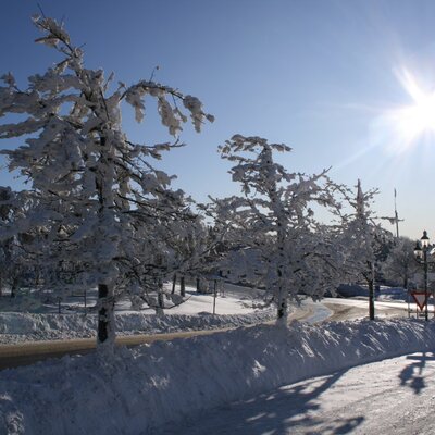 Buchner - Winterlandschaft