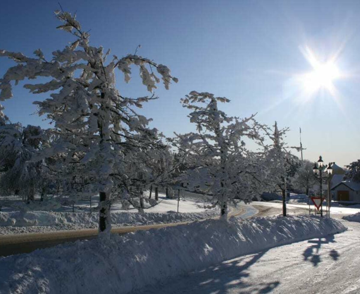 Buchner - Winterlandschaft
