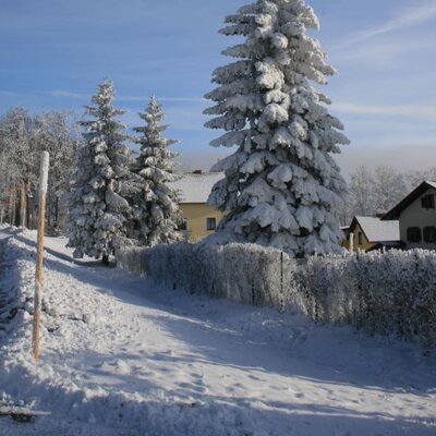 Raureif im Winter