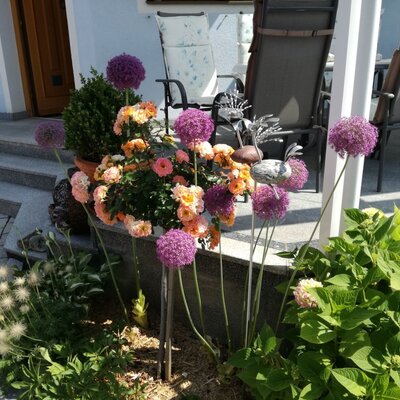 Blumen im Innenhof