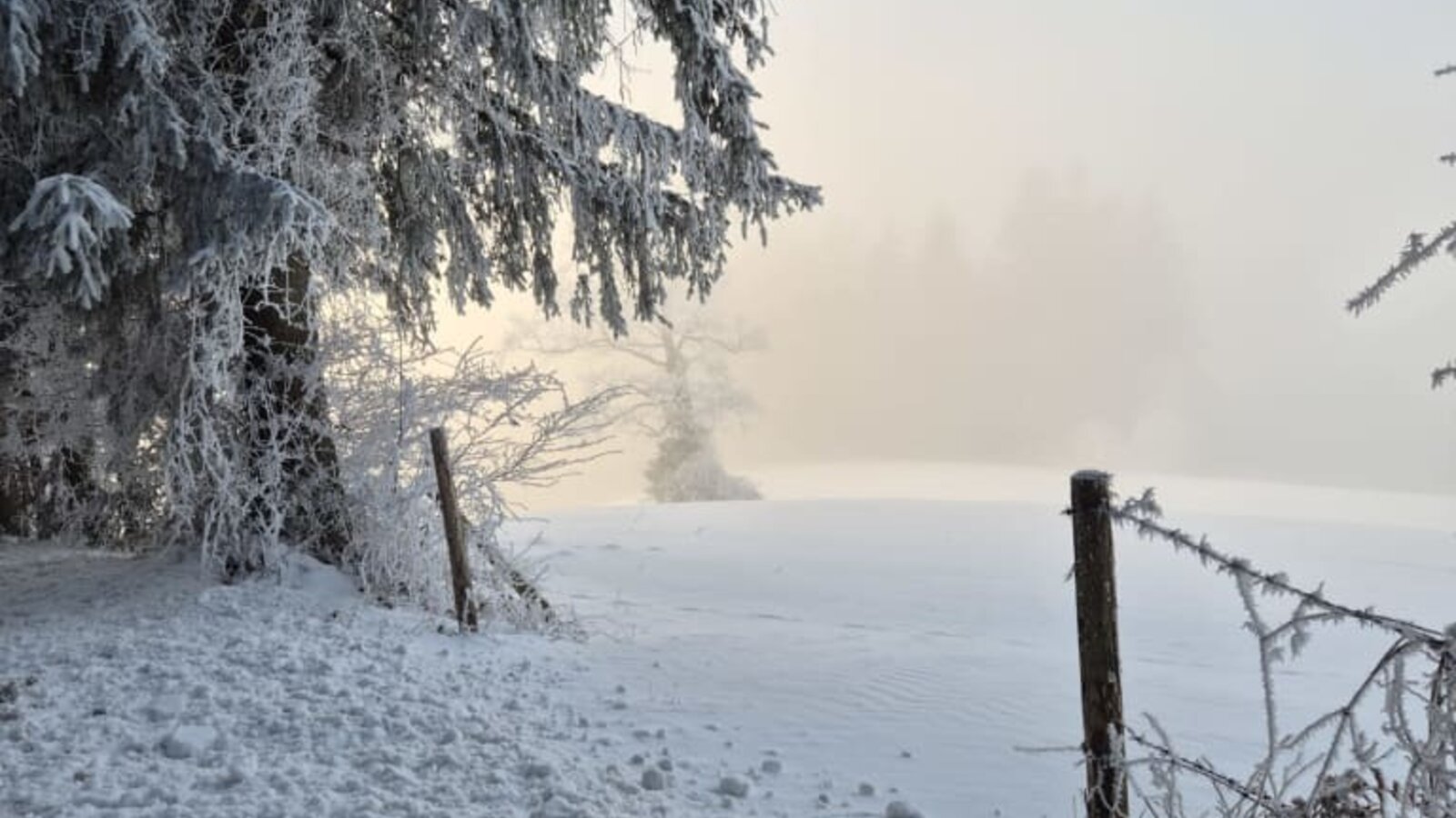 Winterlandschaft
