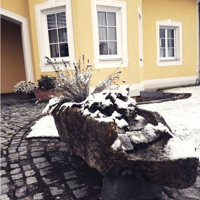 Eingangsbereich im Winterkleid