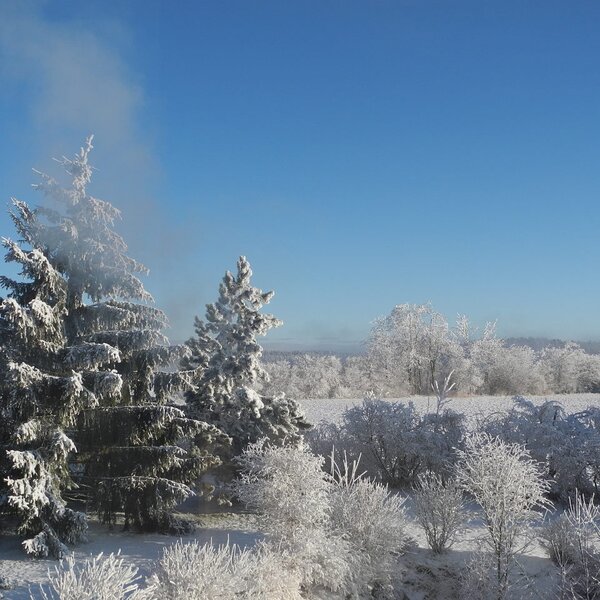 Garten im Winter