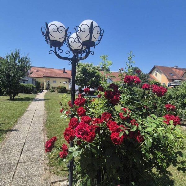 Der einladende Garten des Bauernhofs mit prächtigen roten Rosen und einem gepflasterten Gehweg.