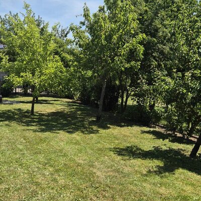 Der weitläufige, grüne Garten des Bauernhofs mit schattenspendenden Bäumen unter blauem Himmel.