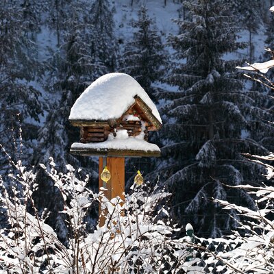 Der Vorgarten im Winter