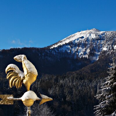 unser Wetterhahn auf der Terrasse mit Blick auf Gemeindealpe