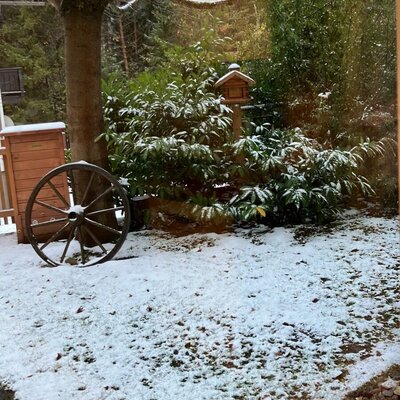 Unser Vorgarten im Winter