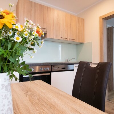 Rebenhof - Die moderne Küche der Ferienwohnung