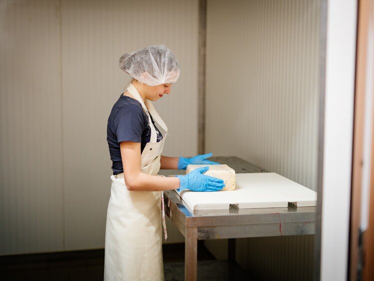 Käseherstellung © Gollner