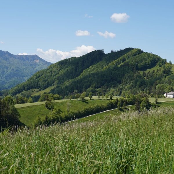 Wunderschöne Alleinlage auf einem sonnigen Bergrücken